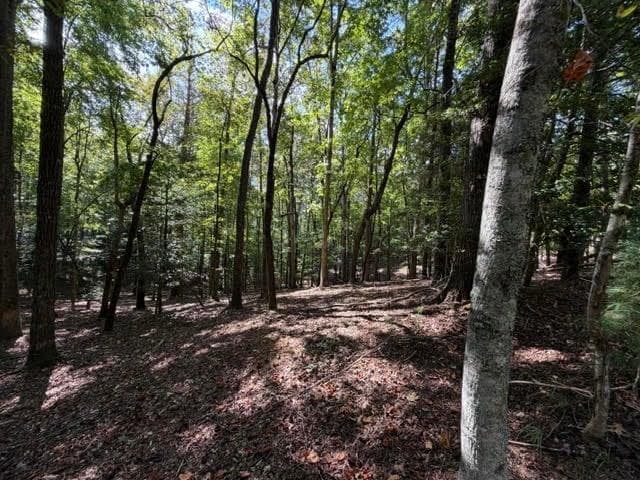 single family residence for sale at 556 Satsuma Court, Ellijay, GA 30540 — photo 8