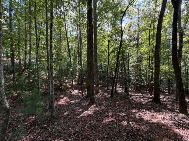single family residence for sale at 556 Satsuma Court, Ellijay, GA 30540 — photo 9
