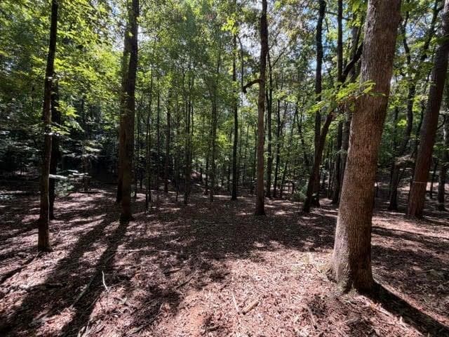 single family residence for sale at 556 Satsuma Court, Ellijay, GA 30540 — photo 10