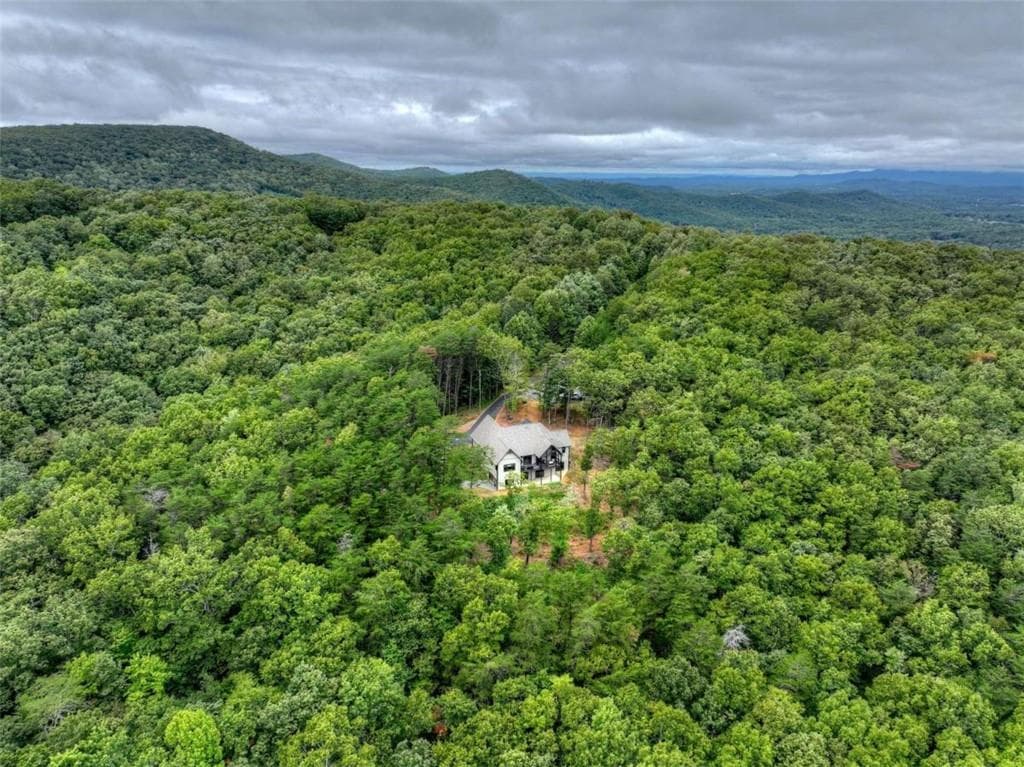 4 bedroom, 5 bathroom, 3,942 sq ft single family residence for sale at 528 Cloudland Drive, Ellijay, GA 30536 — photo 8
