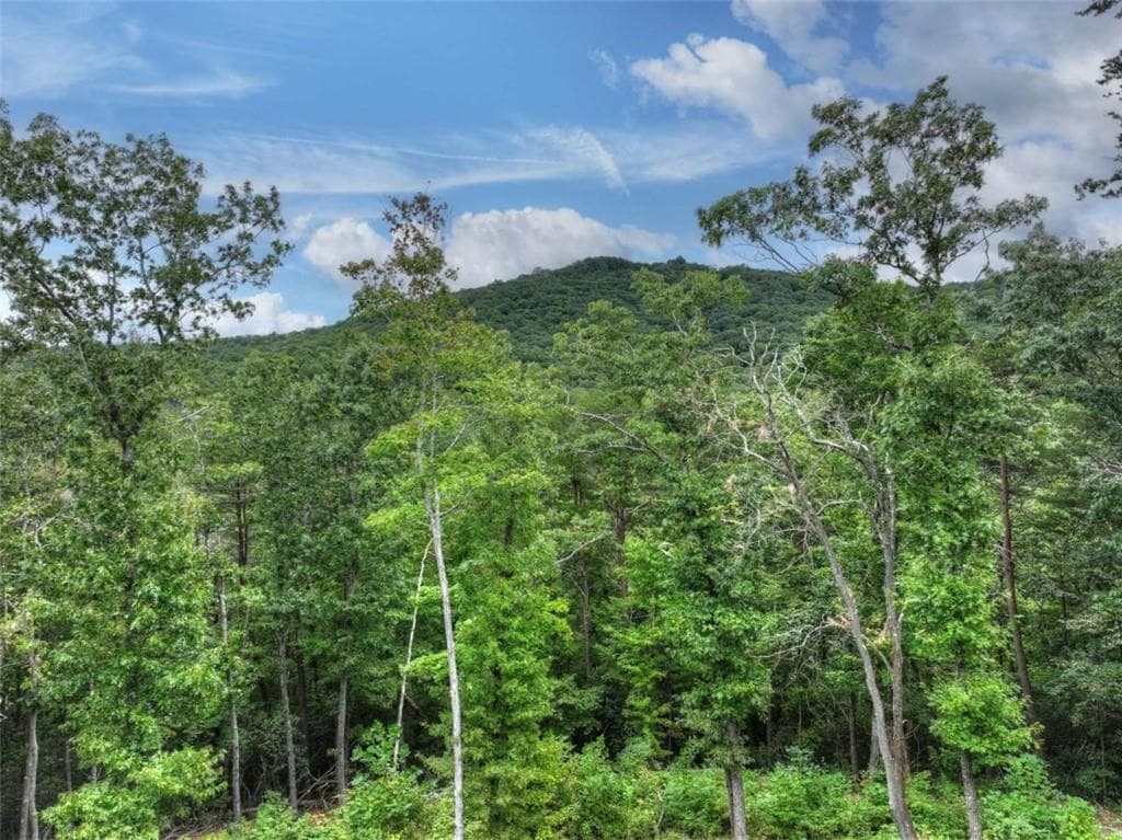 4 bedroom, 5 bathroom, 3,942 sq ft single family residence for sale at 528 Cloudland Drive, Ellijay, GA 30536 — photo 9