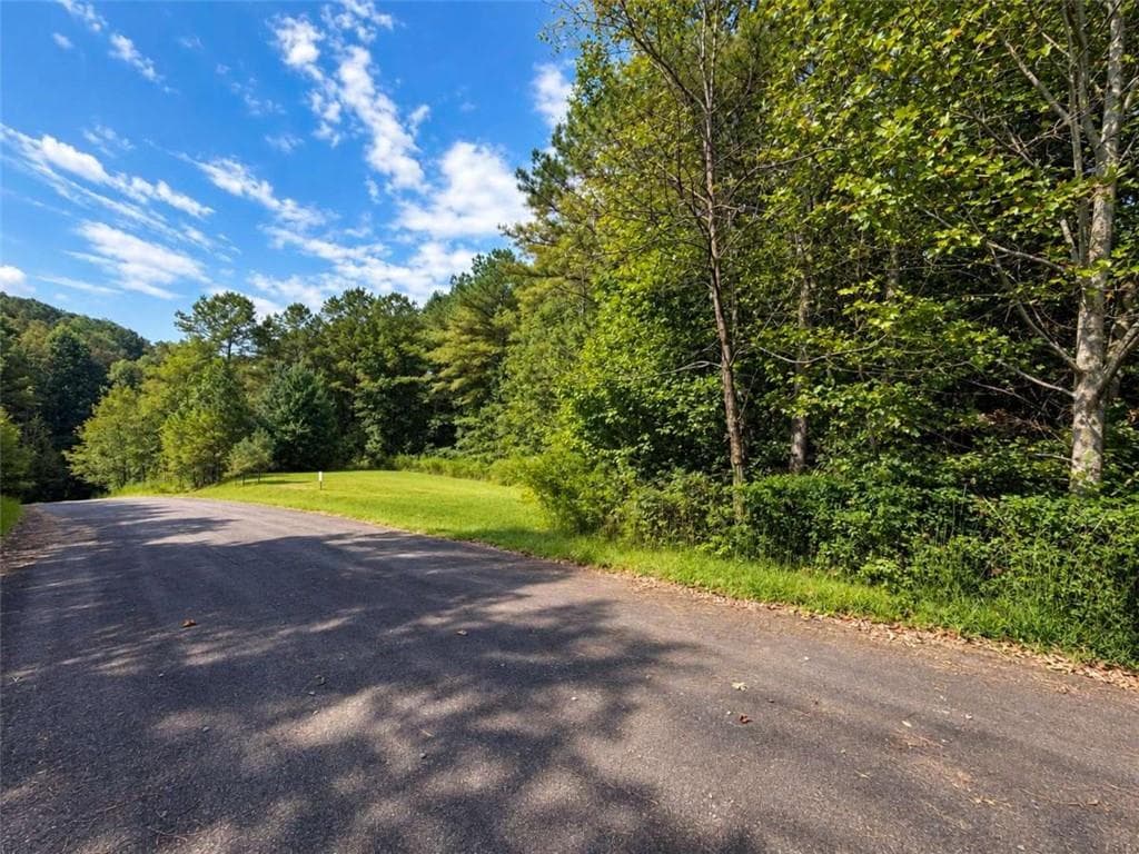 single family residence for sale at LT 45 Grandview Lane, Ellijay, GA 30536 — photo 6