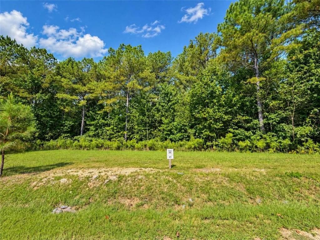 single family residence for sale at LT 45 Grandview Lane, Ellijay, GA 30536 — photo 3