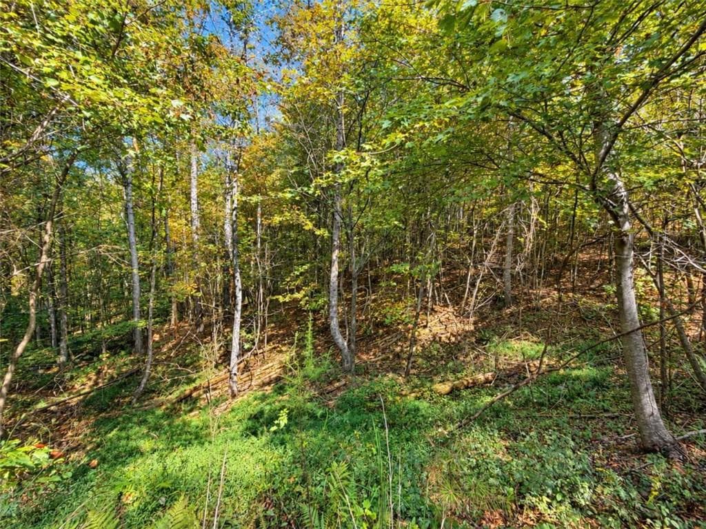 single family residence for sale at LT 45 Grandview Lane, Ellijay, GA 30536 — photo 10