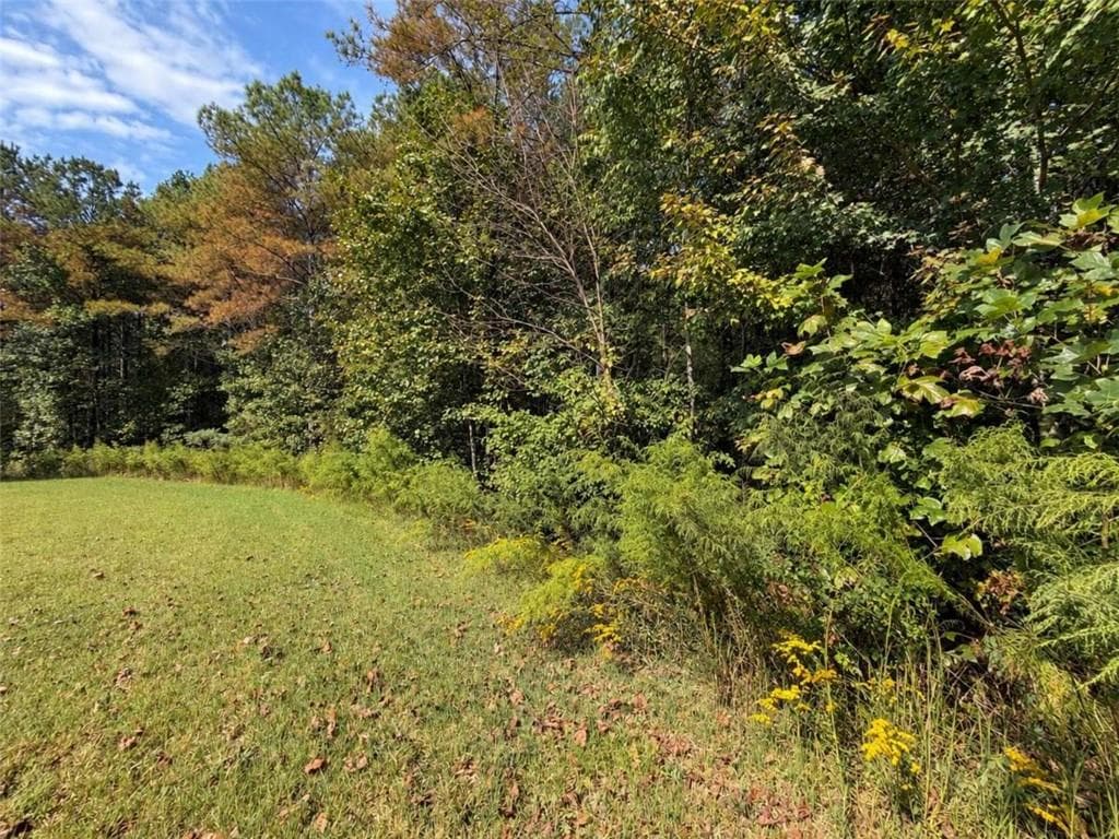 single family residence for sale at LT 45 Grandview Lane, Ellijay, GA 30536 — photo 8