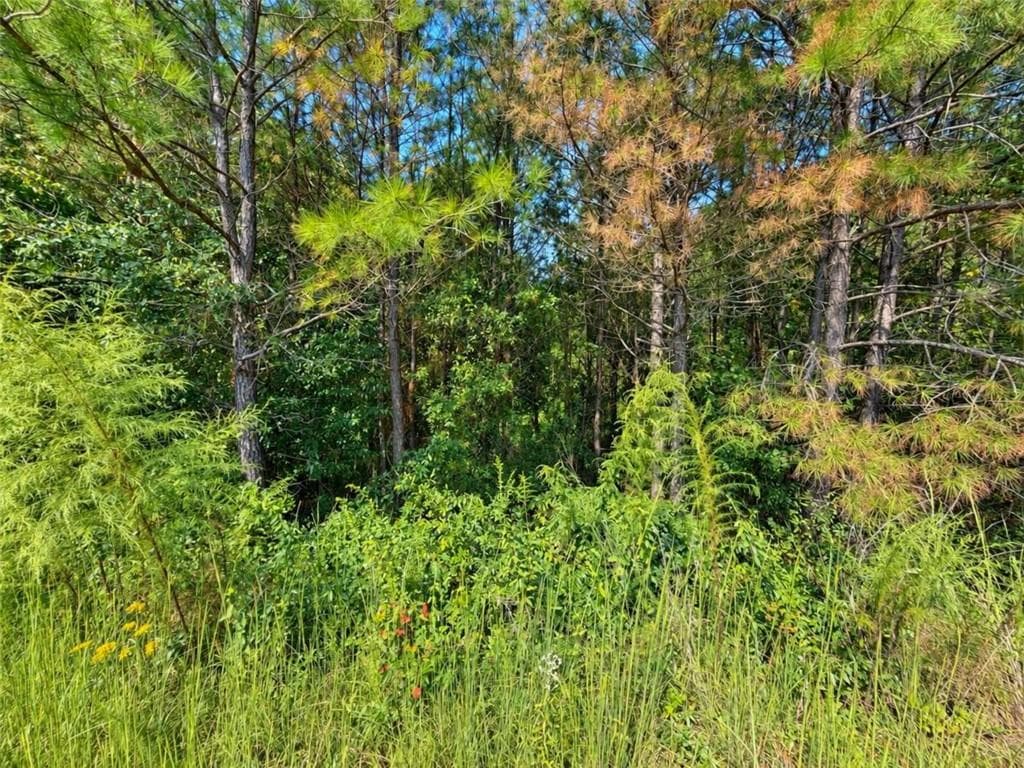 single family residence for sale at LT 45 Grandview Lane, Ellijay, GA 30536 — photo 9