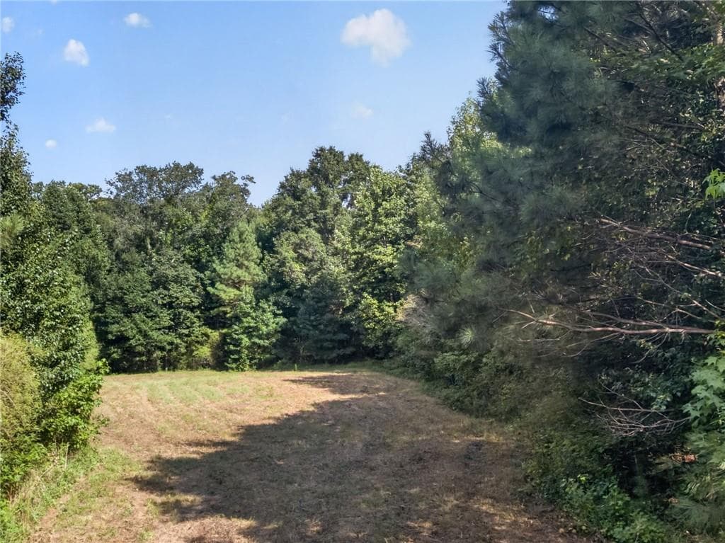 unimproved land for sale at 0 Parsons, Dallas, GA 30157 — photo 5