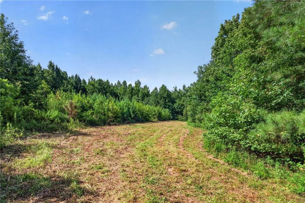 unimproved land for sale at 0 Parsons, Dallas, GA 30157 — photo 6
