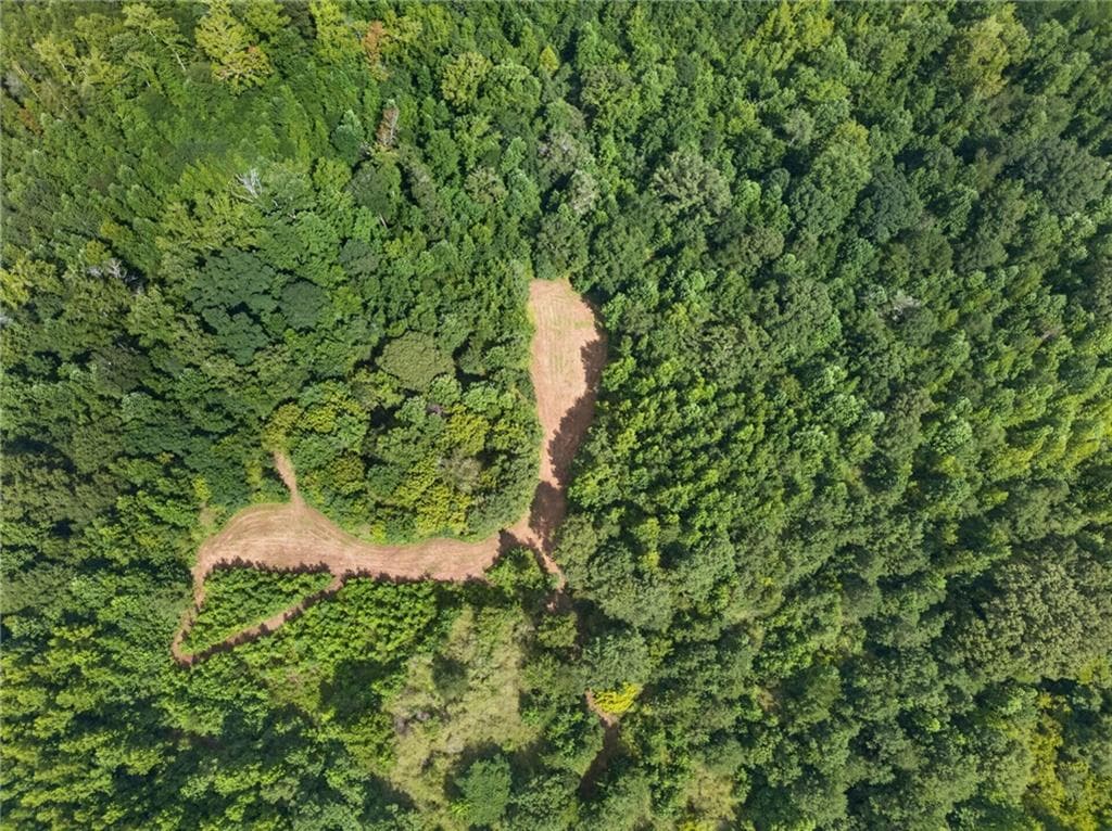 unimproved land for sale at 0 Parsons, Dallas, GA 30157 — photo 10