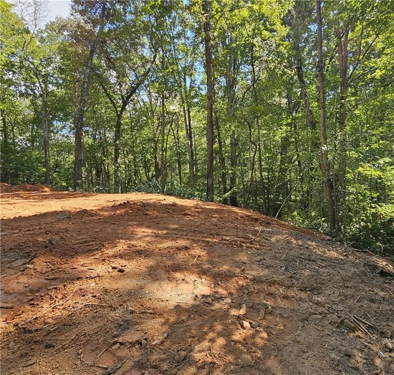 other for sale at 7619 Yukon Road, Talking Rock, GA 30175 — photo 7