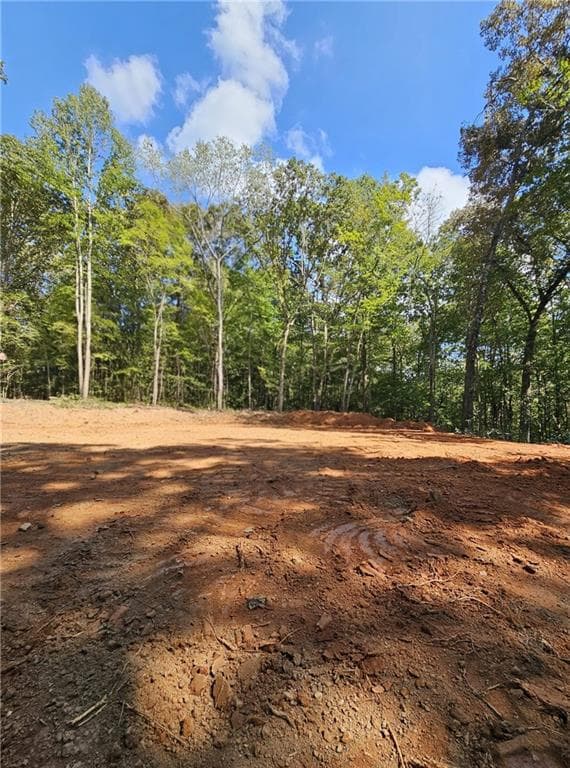 other for sale at 7619 Yukon Road, Talking Rock, GA 30175 — photo 8