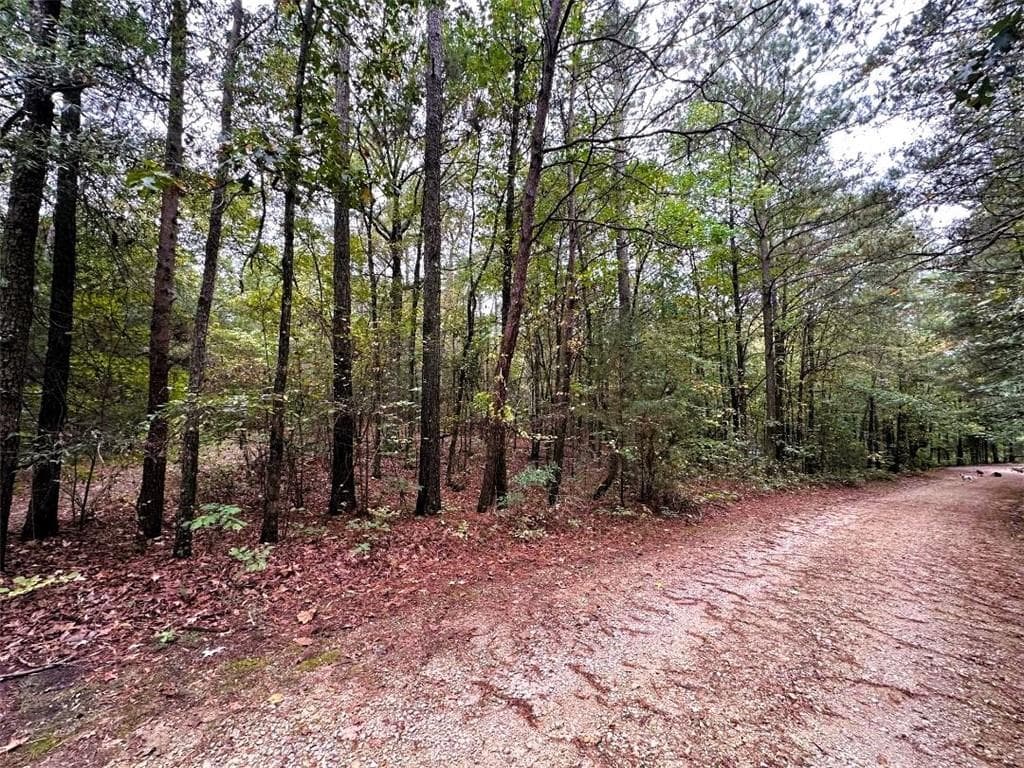 single family residence for sale at Lot 17 Lakeview Circle, Ranger, GA 30734