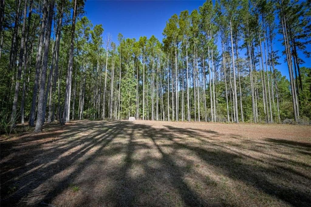4 bedroom, 4 bathroom, 3,453 sq ft single family residence for sale at 35 Mattie Court, Mansfield, GA 30055 — photo 6