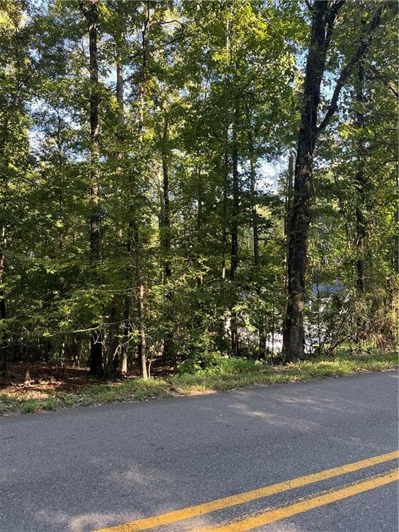 other for sale at 000 Young Deer Drive, Cumming, GA 30041 — photo 5