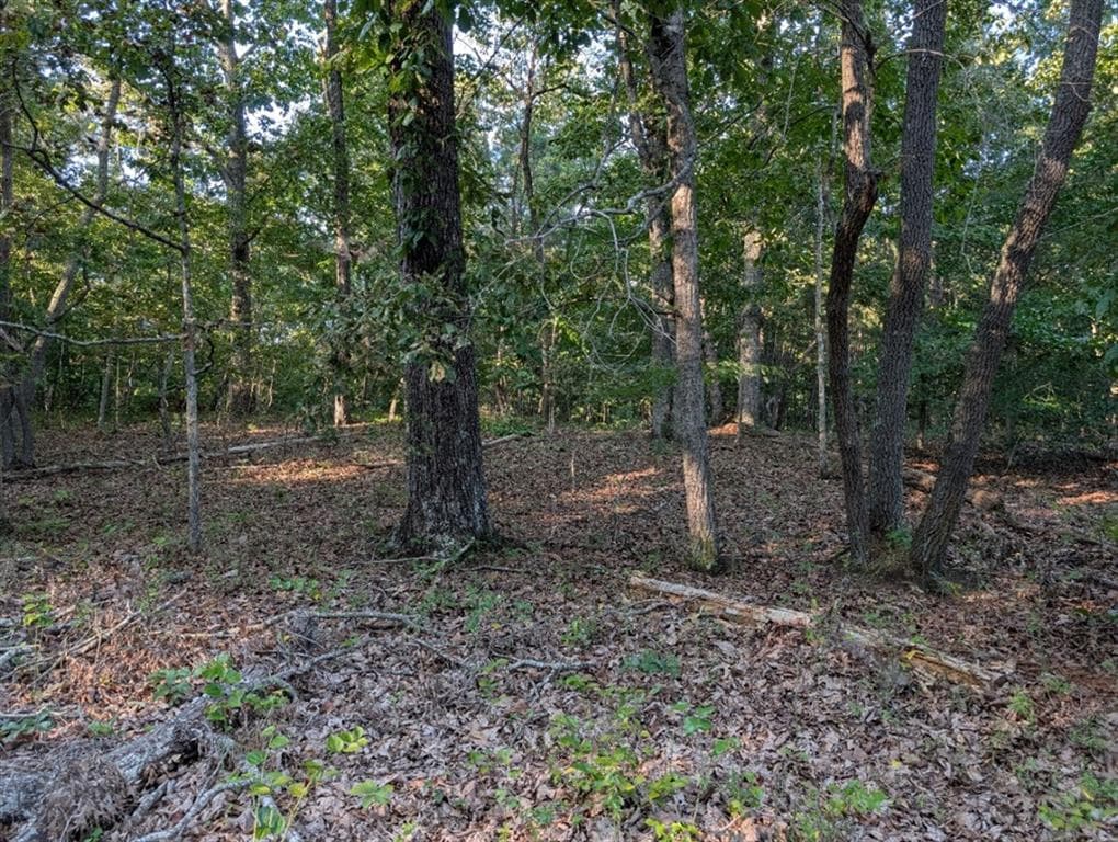 single family residence for sale at 0 Jay Green Road, Canton, GA 30115 — photo 5
