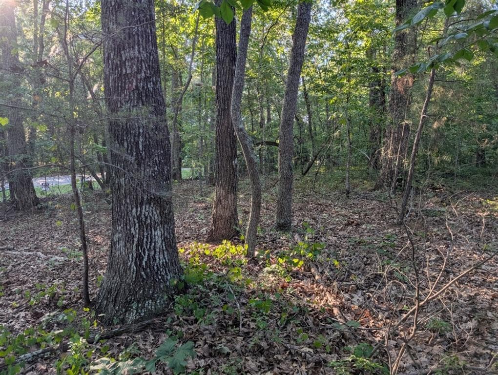 single family residence for sale at 0 Jay Green Road, Canton, GA 30115 — photo 6