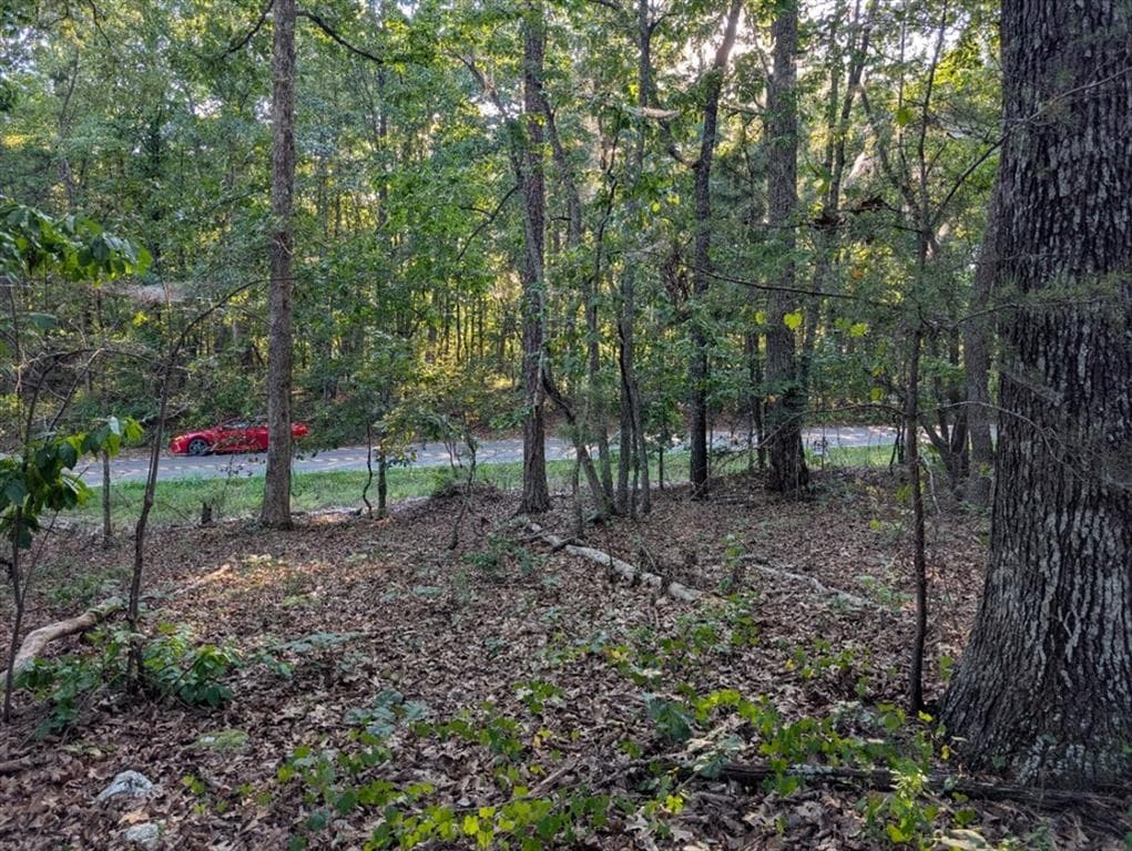 single family residence for sale at 0 Jay Green Road, Canton, GA 30115 — photo 7