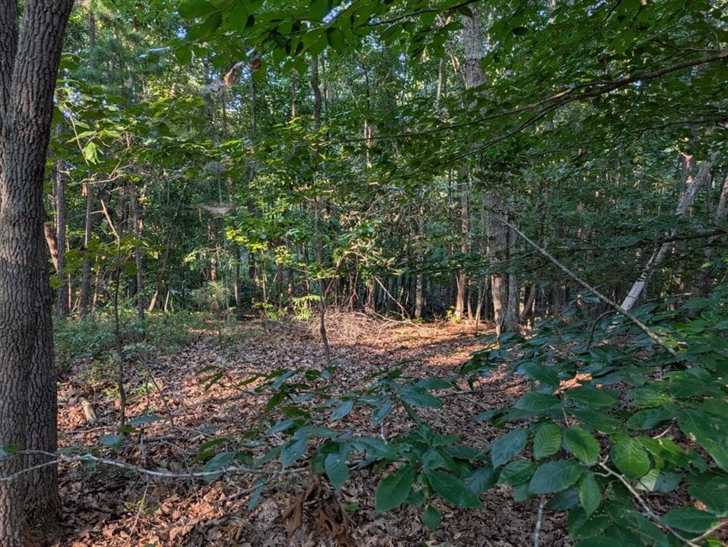 single family residence for sale at 0 Jay Green Road, Canton, GA 30115 — photo 9