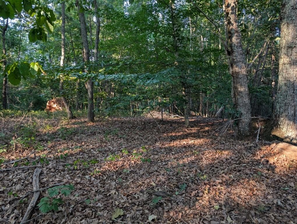 single family residence for sale at 0 Jay Green Road, Canton, GA 30115 — photo 10