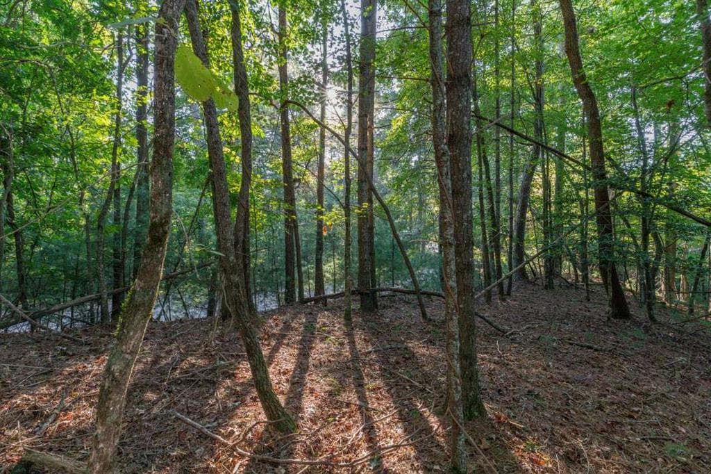 single family residence for sale at LT3234 Eagle Mountain, Ellijay, GA 30536 — photo 2