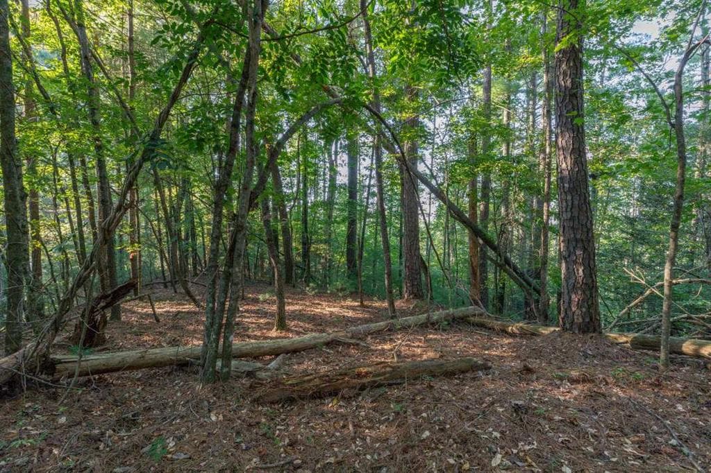 single family residence for sale at LT3234 Eagle Mountain, Ellijay, GA 30536 — photo 3