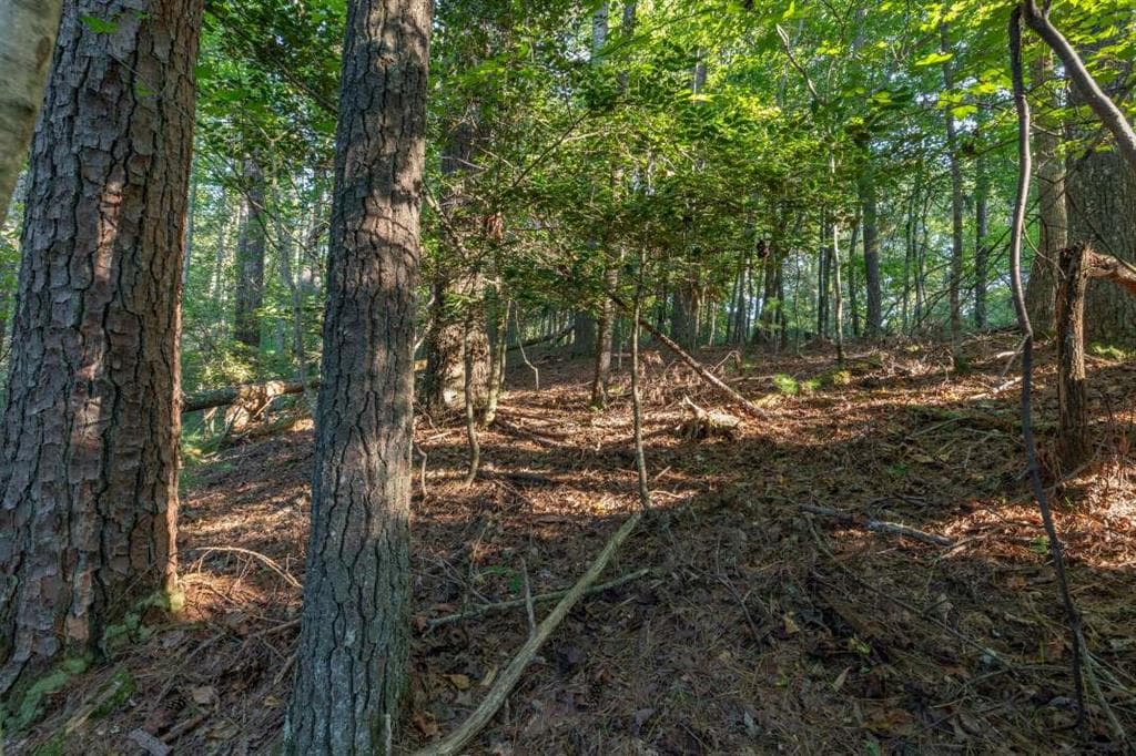 single family residence for sale at LT3234 Eagle Mountain, Ellijay, GA 30536 — photo 4