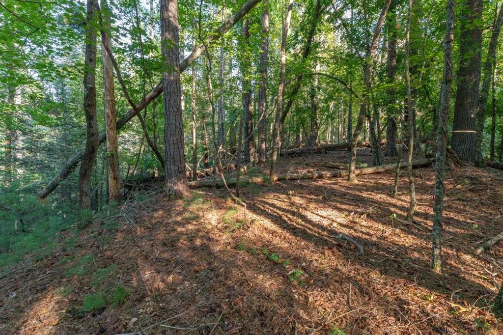 single family residence for sale at LT3234 Eagle Mountain, Ellijay, GA 30536 — photo 5