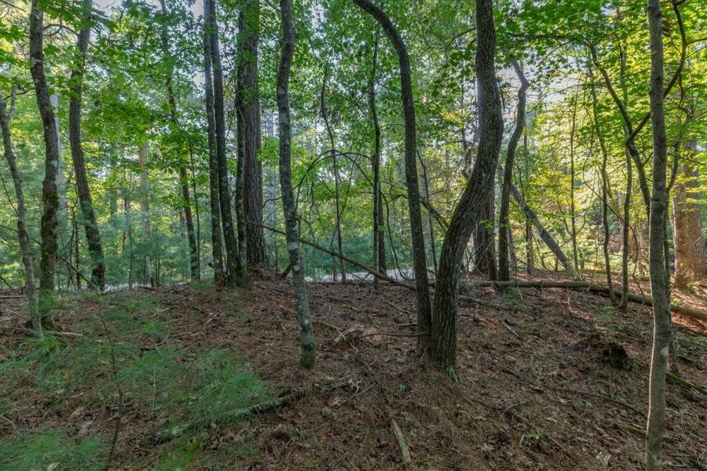single family residence for sale at LT3234 Eagle Mountain, Ellijay, GA 30536 — photo 6