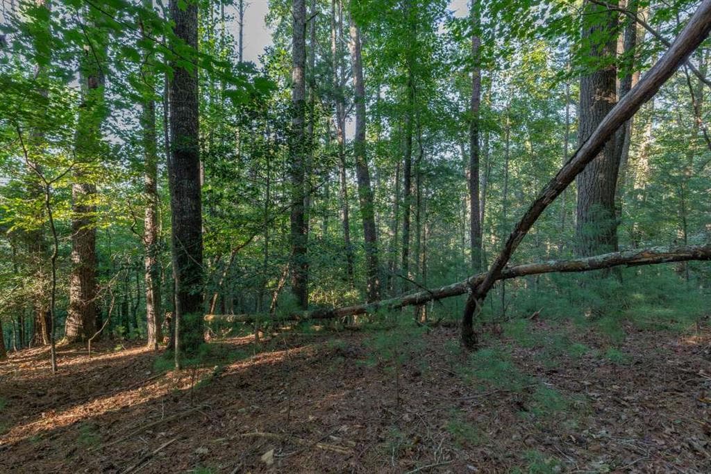 single family residence for sale at LT3234 Eagle Mountain, Ellijay, GA 30536 — photo 7