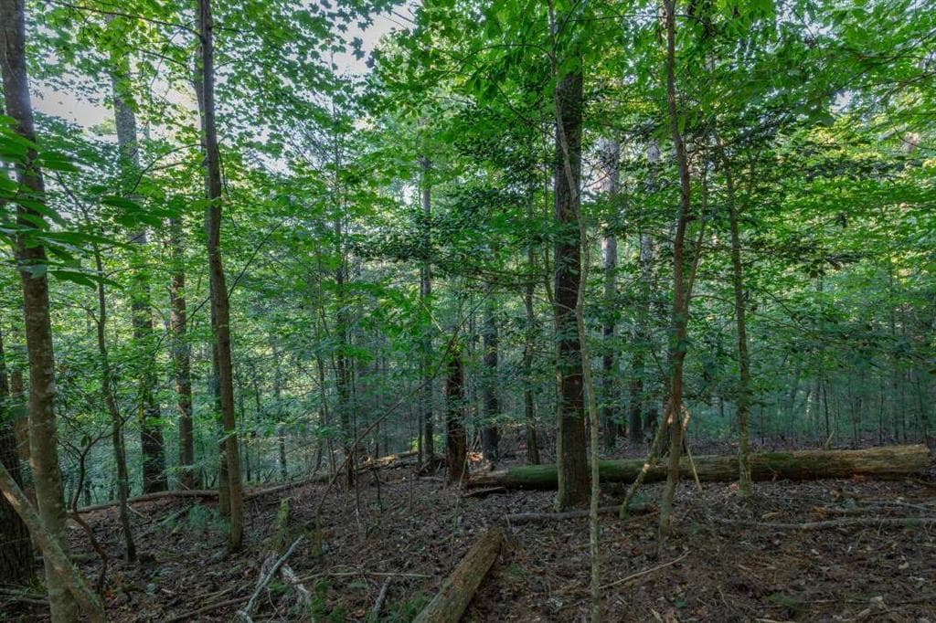 single family residence for sale at LT3234 Eagle Mountain, Ellijay, GA 30536 — photo 9