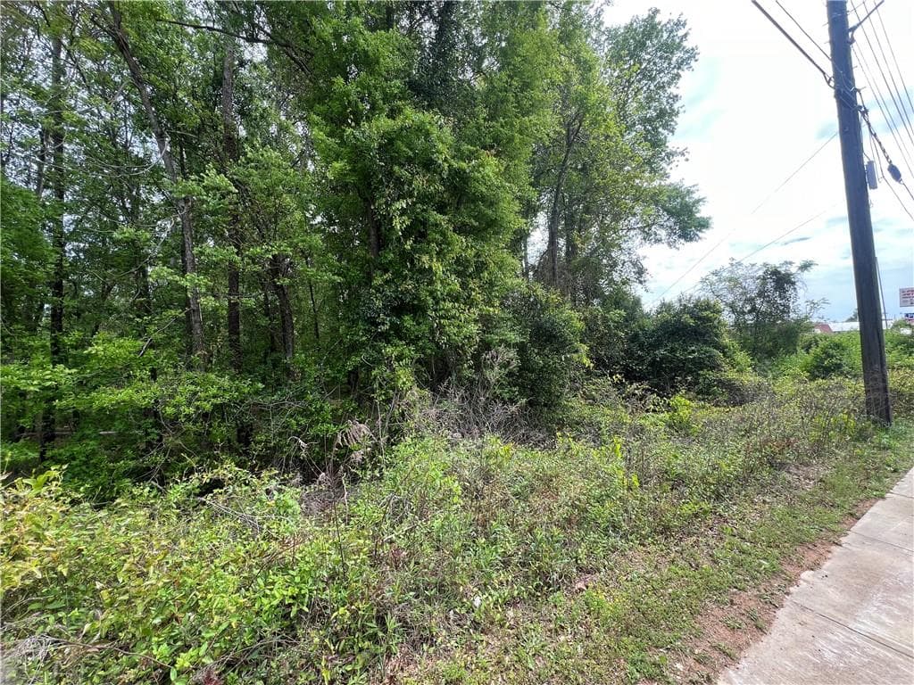 unimproved land for sale at 0 S M L K Jr Boulevard, Americus, GA 31719 — photo 4