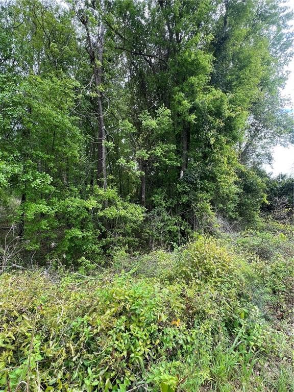 unimproved land for sale at 0 S M L K Jr Boulevard, Americus, GA 31719 — photo 5
