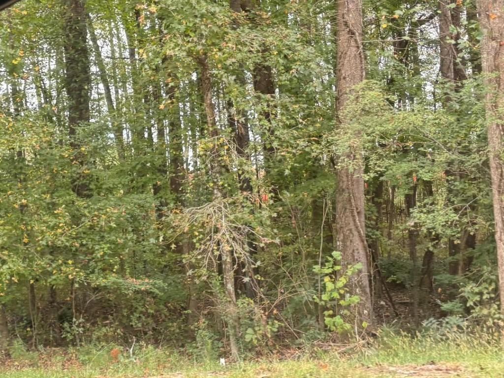 unimproved land for sale at 1945 Winder Highway, Dacula, GA 30019 — photo 2