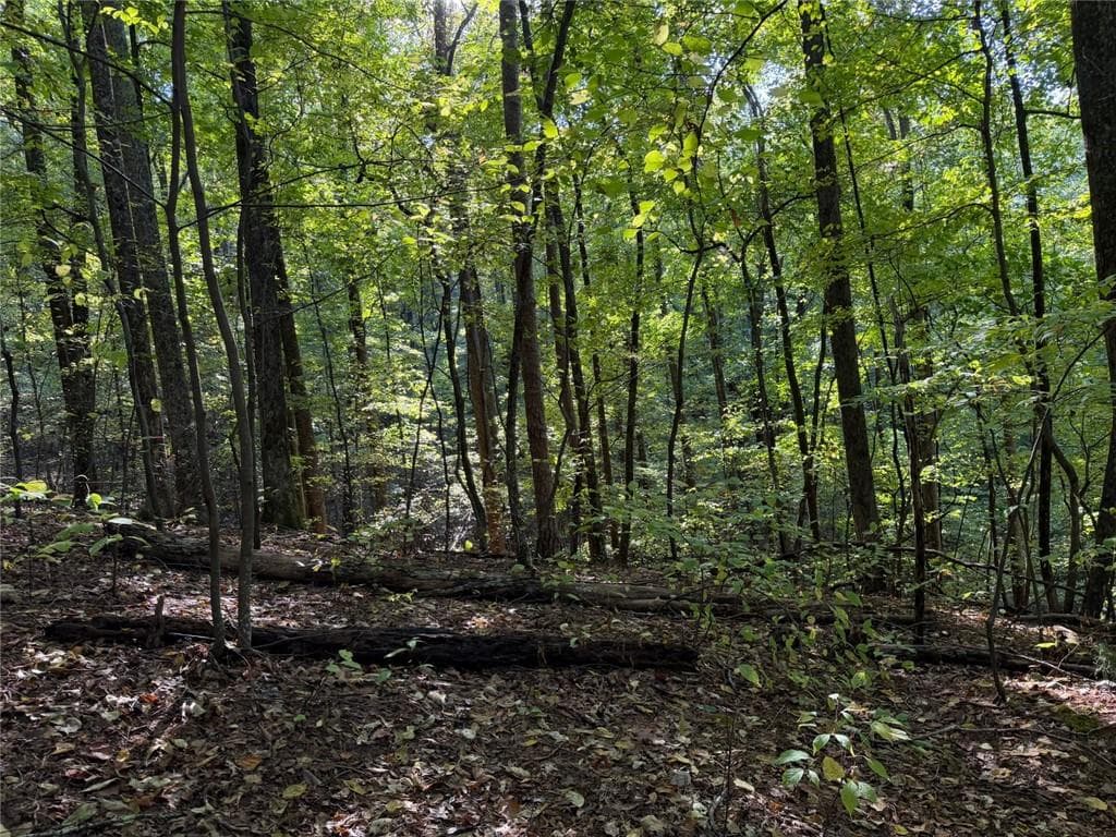 single family residence for sale at 0 Mountain View Court Way, Ellijay, GA 30536 — photo 2