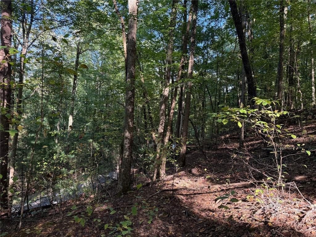 single family residence for sale at 0 Mountain View Court Way, Ellijay, GA 30536 — photo 4