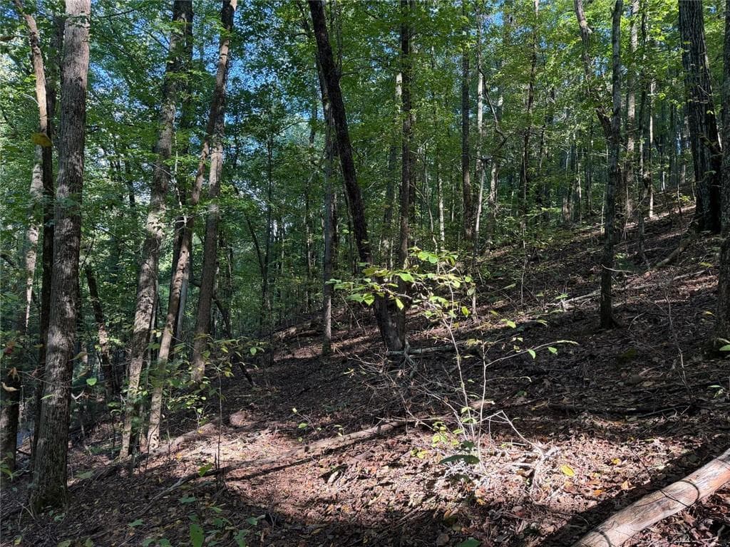 single family residence for sale at 0 Mountain View Court Way, Ellijay, GA 30536 — photo 5