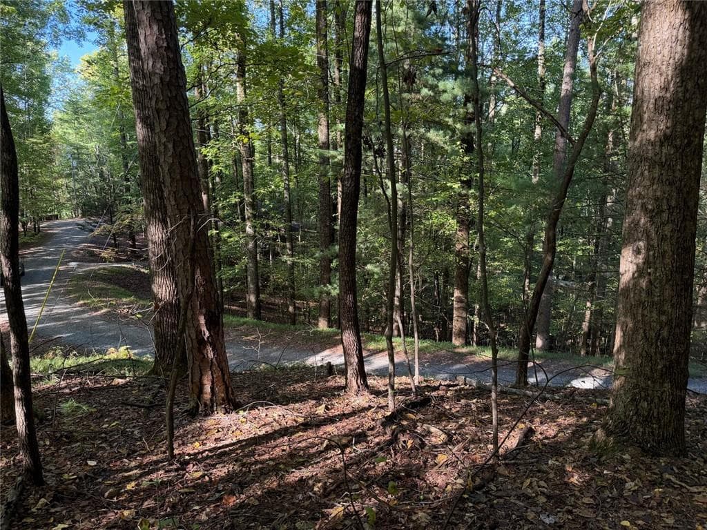 single family residence for sale at 0 Mountain View Court Way, Ellijay, GA 30536 — photo 7