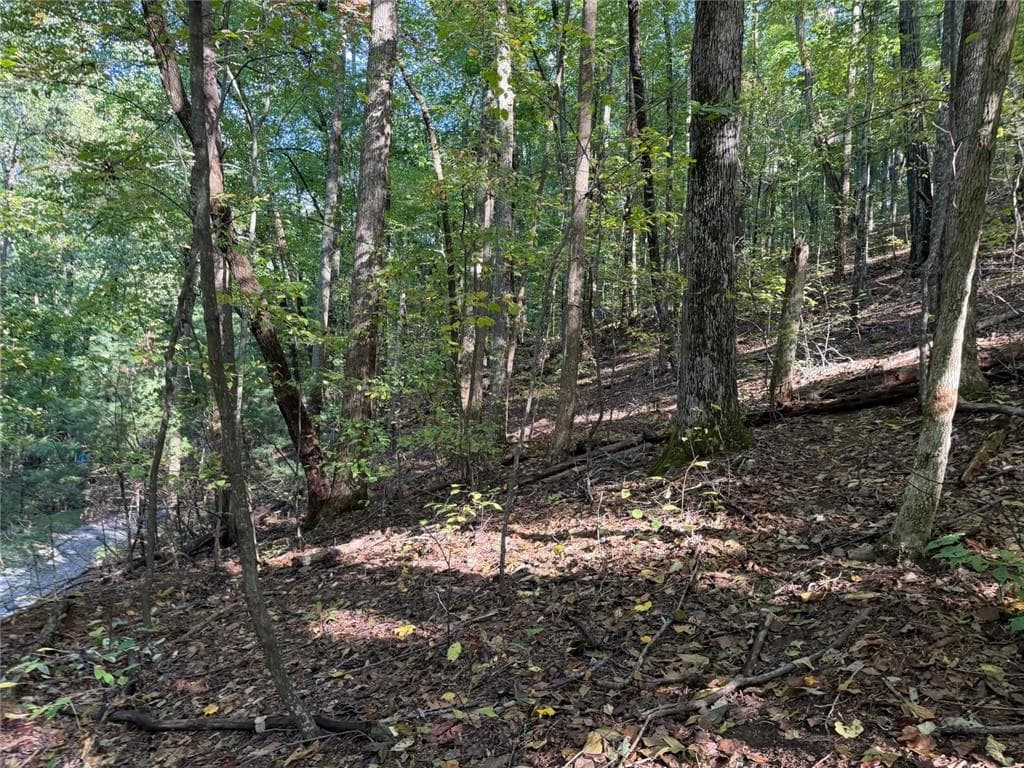 single family residence for sale at 0 Mountain View Court Way, Ellijay, GA 30536 — photo 8