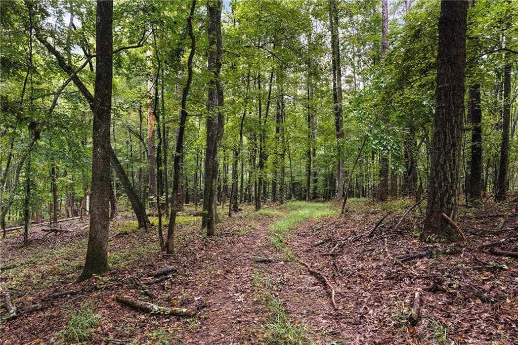 single family residence for sale at 7970 Rico Road, Chattahoochee Hills, GA 30268 — photo 6