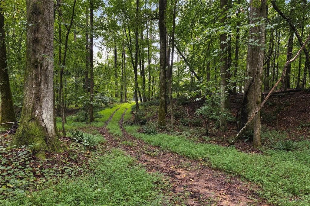 single family residence for sale at 7970 Rico Road, Chattahoochee Hills, GA 30268 — photo 7