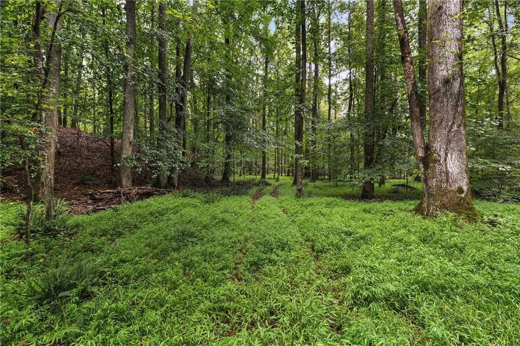 single family residence for sale at 7970 Rico Road, Chattahoochee Hills, GA 30268 — photo 8