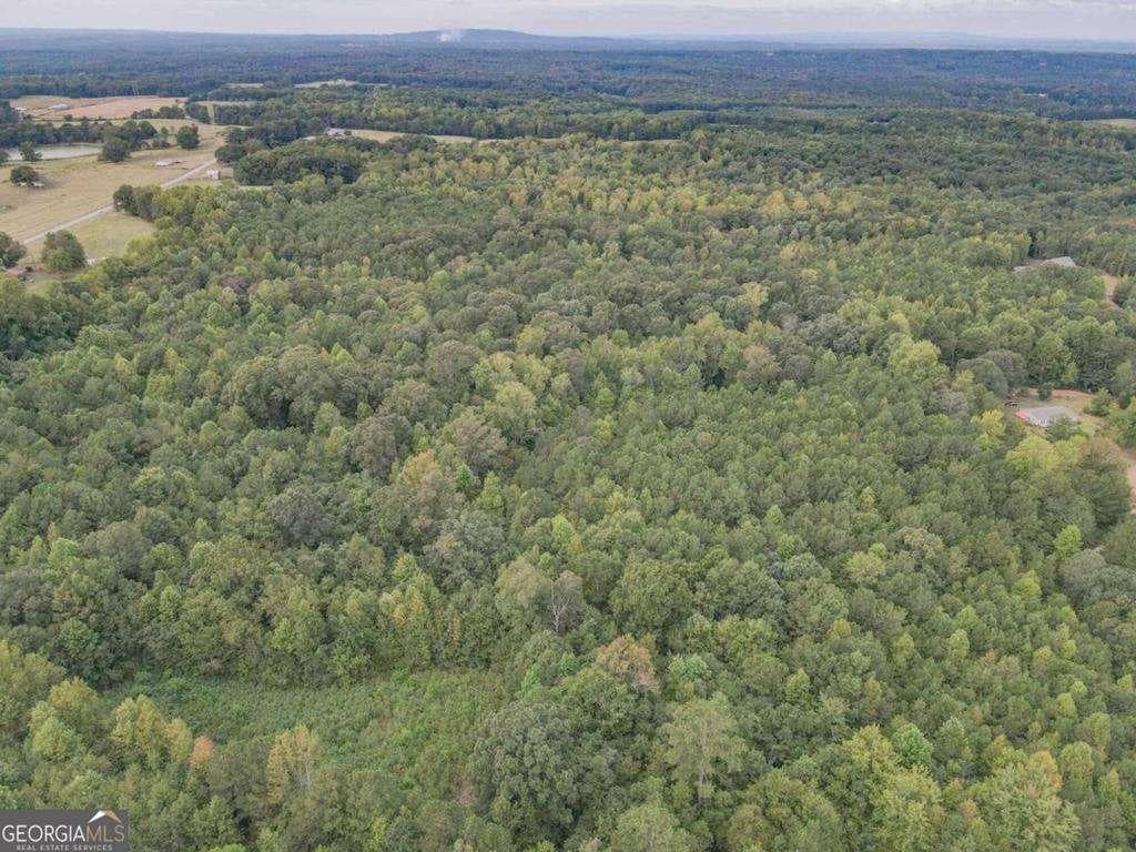 unimproved land for sale at 0 Roopville Veal Road, Roopville, GA 30170 — photo 1 of 2