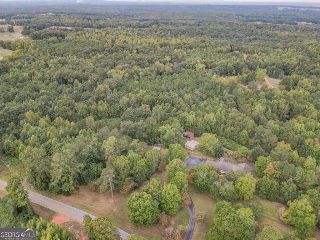 unimproved land for sale at 0 Roopville Veal Road, Roopville, GA 30170 — photo 2