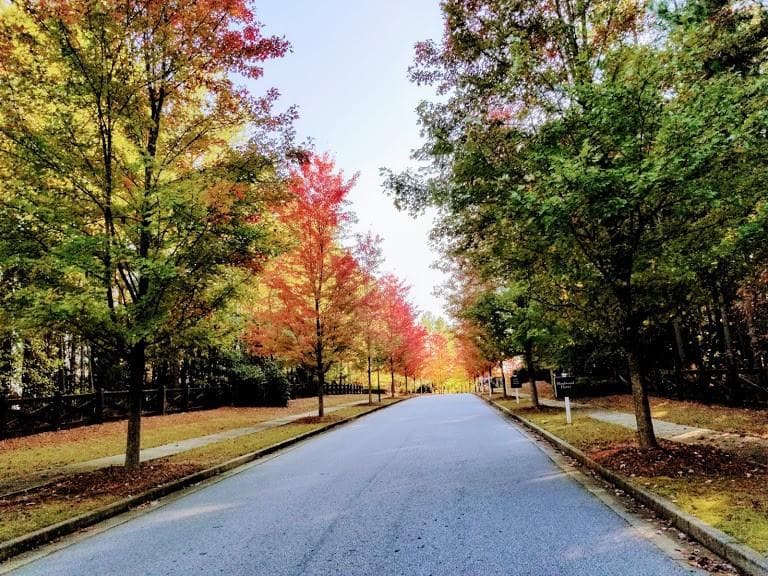 5 bedroom, 4 bathroom, 4,170 sq ft single family residence for sale at 3785 Spring Place Court, Loganville, GA 30052 — photo 3