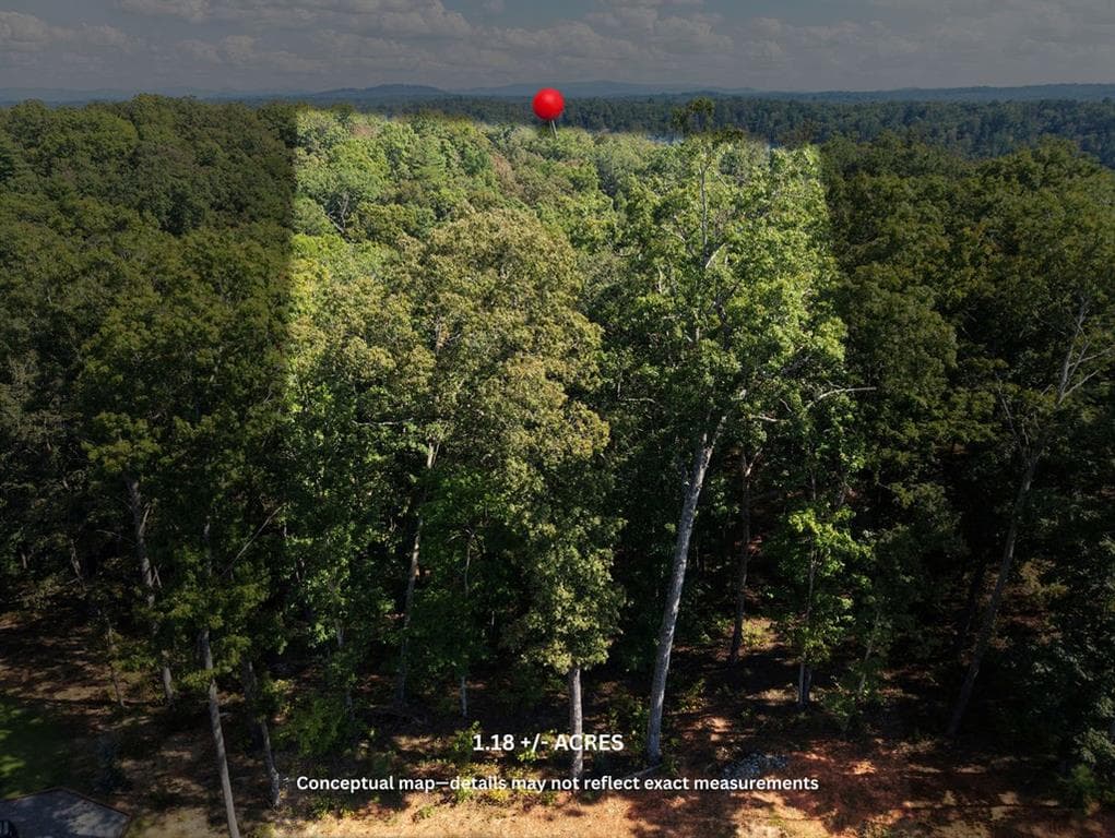 other for sale at 21 Lake Top Lane, Ellijay, GA 30536 — photo 2