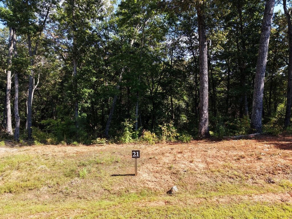 other for sale at 21 Lake Top Lane, Ellijay, GA 30536 — photo 4