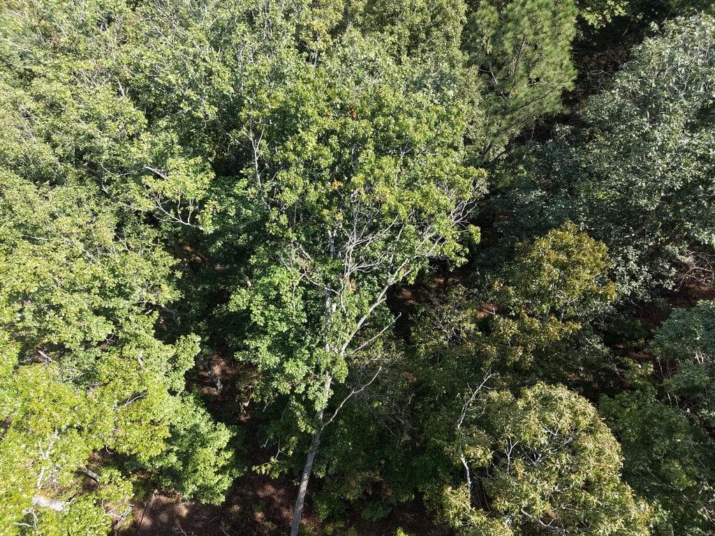 other for sale at 21 Lake Top Lane, Ellijay, GA 30536 — photo 5
