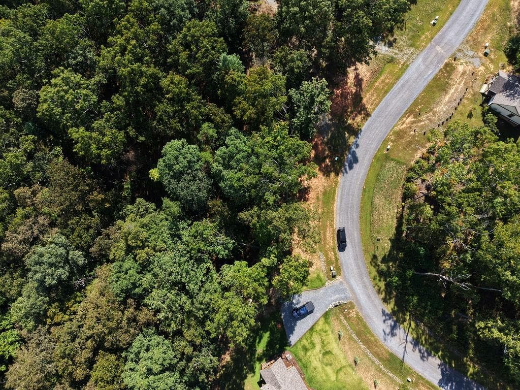 other for sale at 21 Lake Top Lane, Ellijay, GA 30536 — photo 6