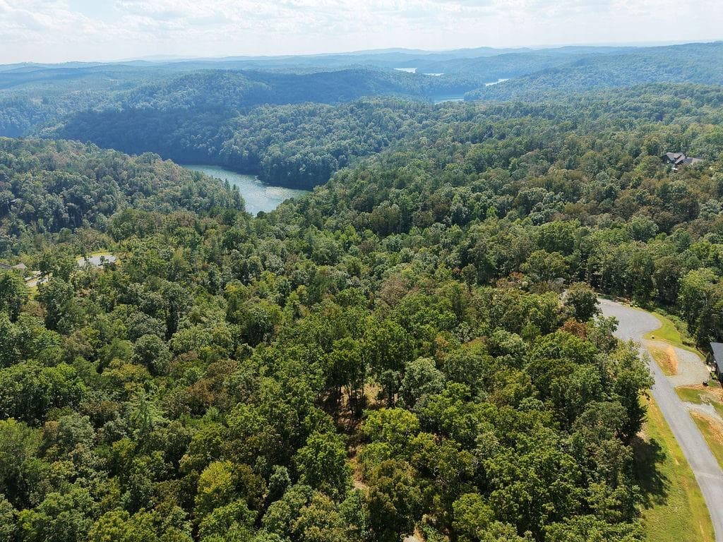 other for sale at 21 Lake Top Lane, Ellijay, GA 30536 — photo 8