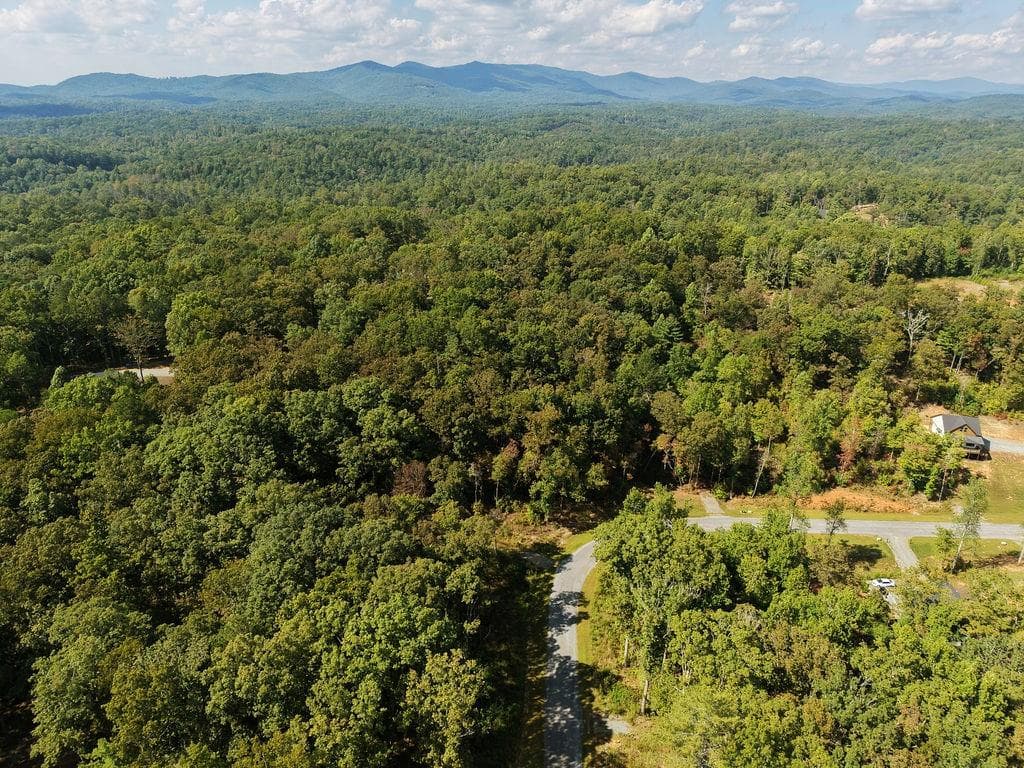other for sale at 21 Lake Top Lane, Ellijay, GA 30536 — photo 9